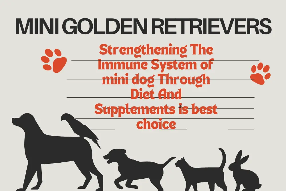  Immune System of Miniature Golden Retrievers