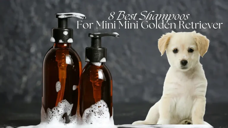 Best Shampoo For Mini Golden Retrievers With Sensitive Skin