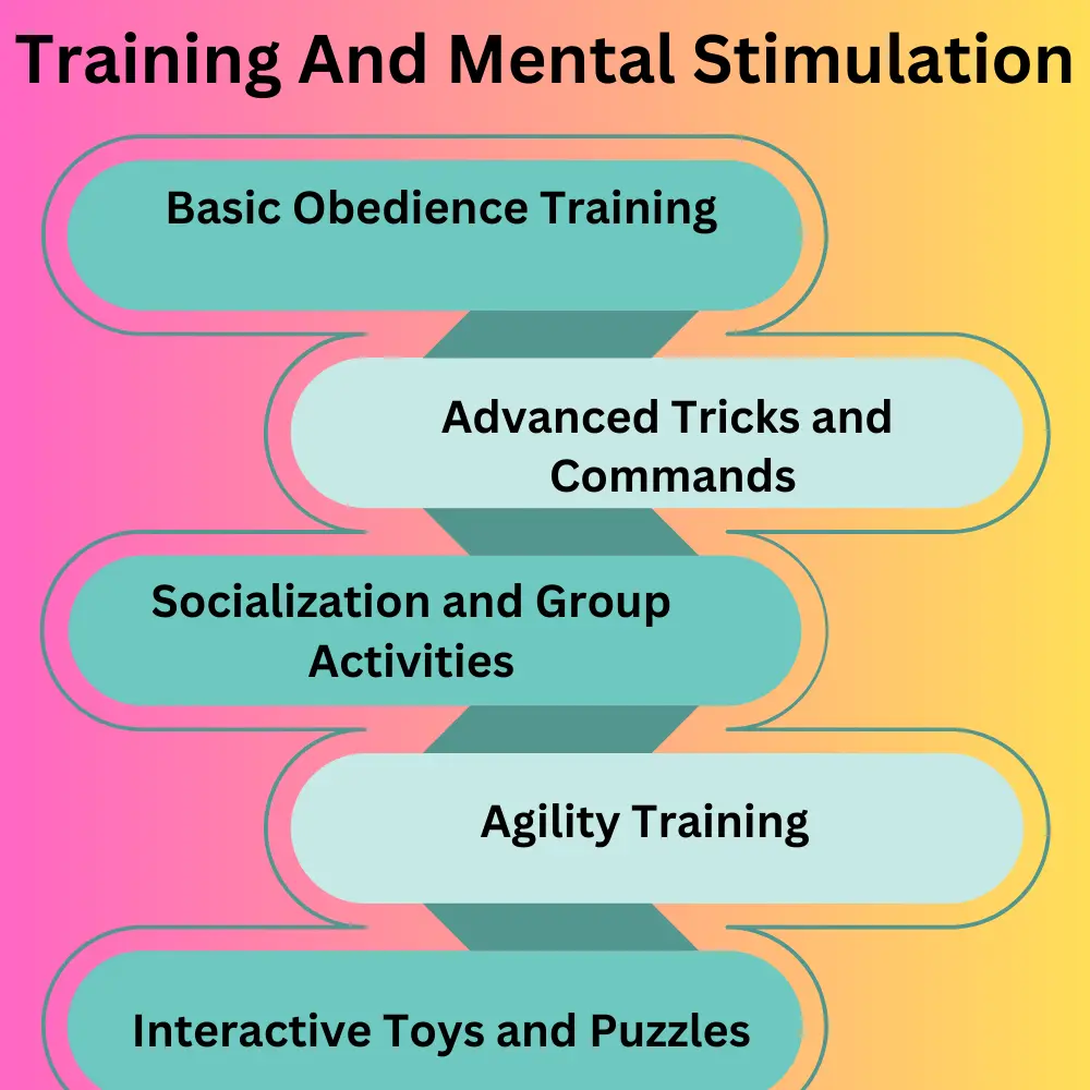 Training And Mental Stimulation