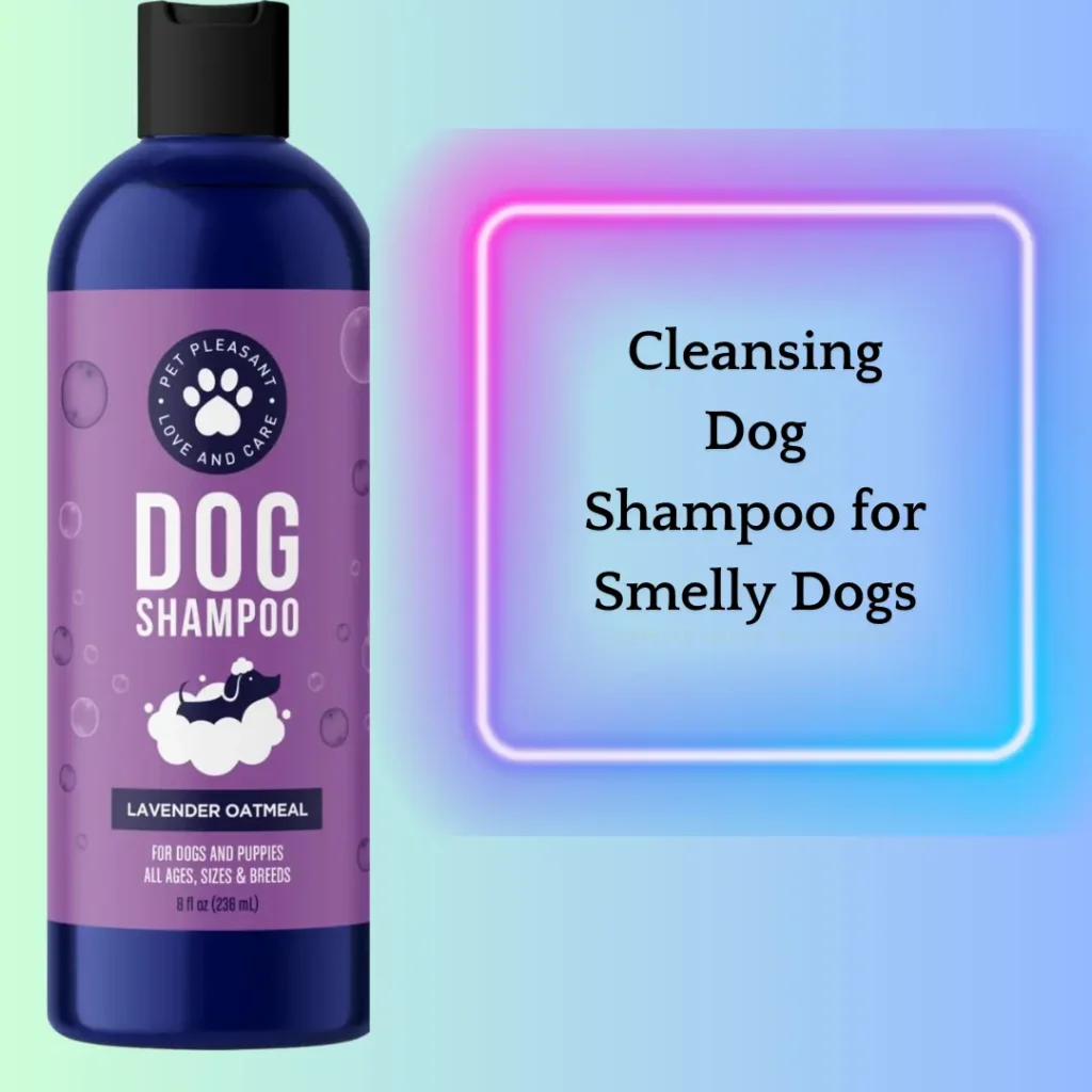 Cleansing Dog Shampoo for Smelly Dogs