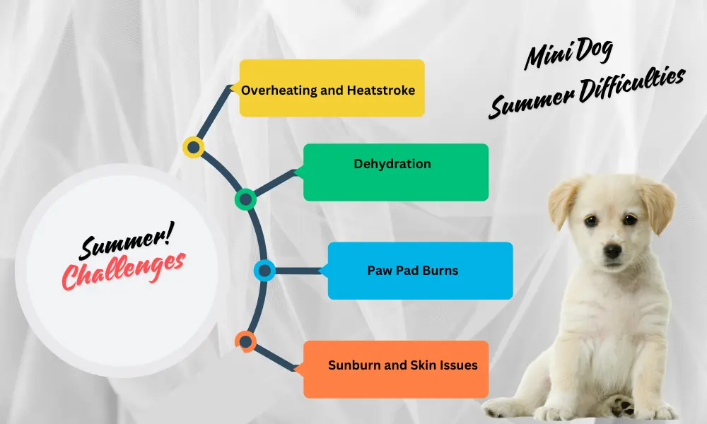 Challenges Summer Poses For Mini Golden Retrievers